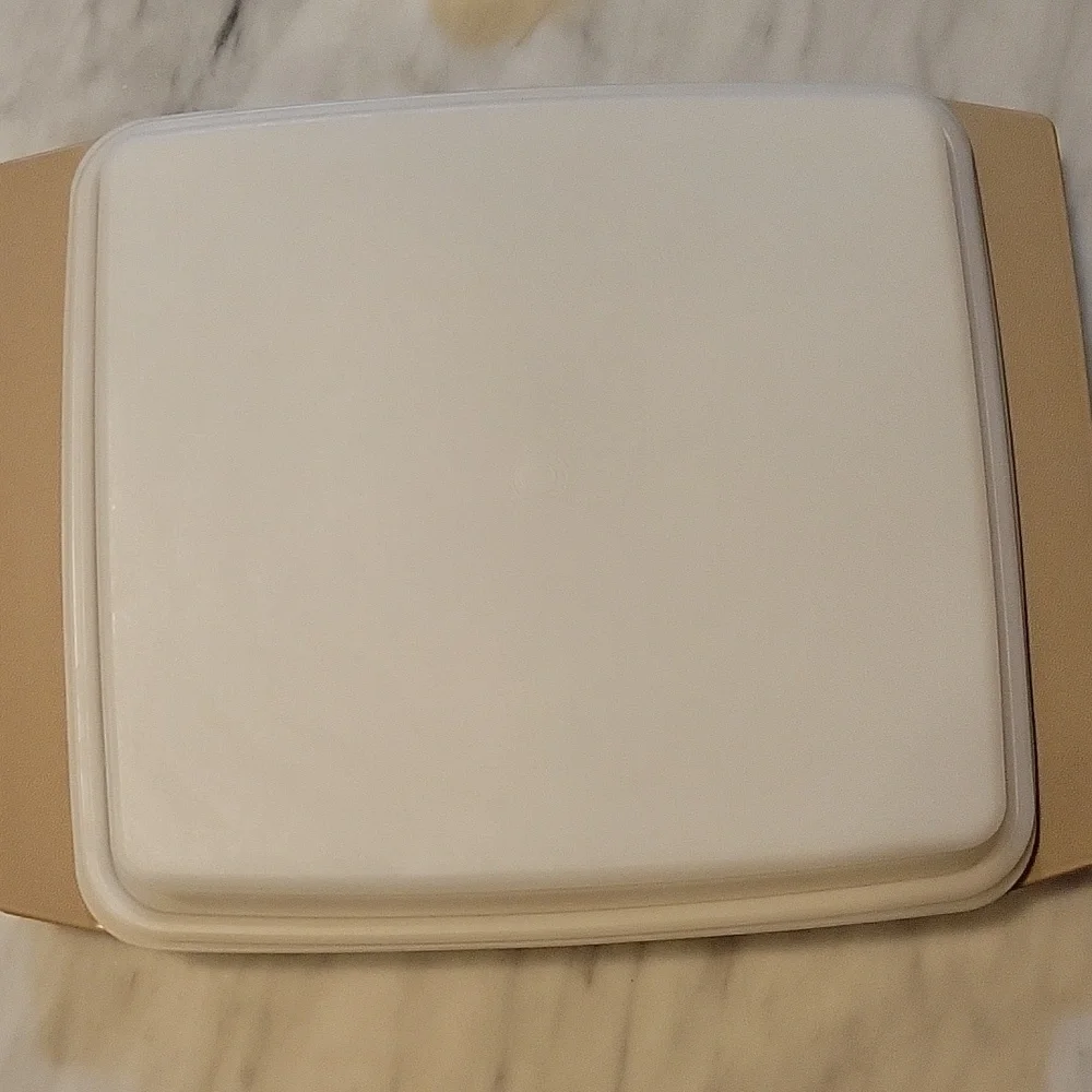 Tupperware durable container